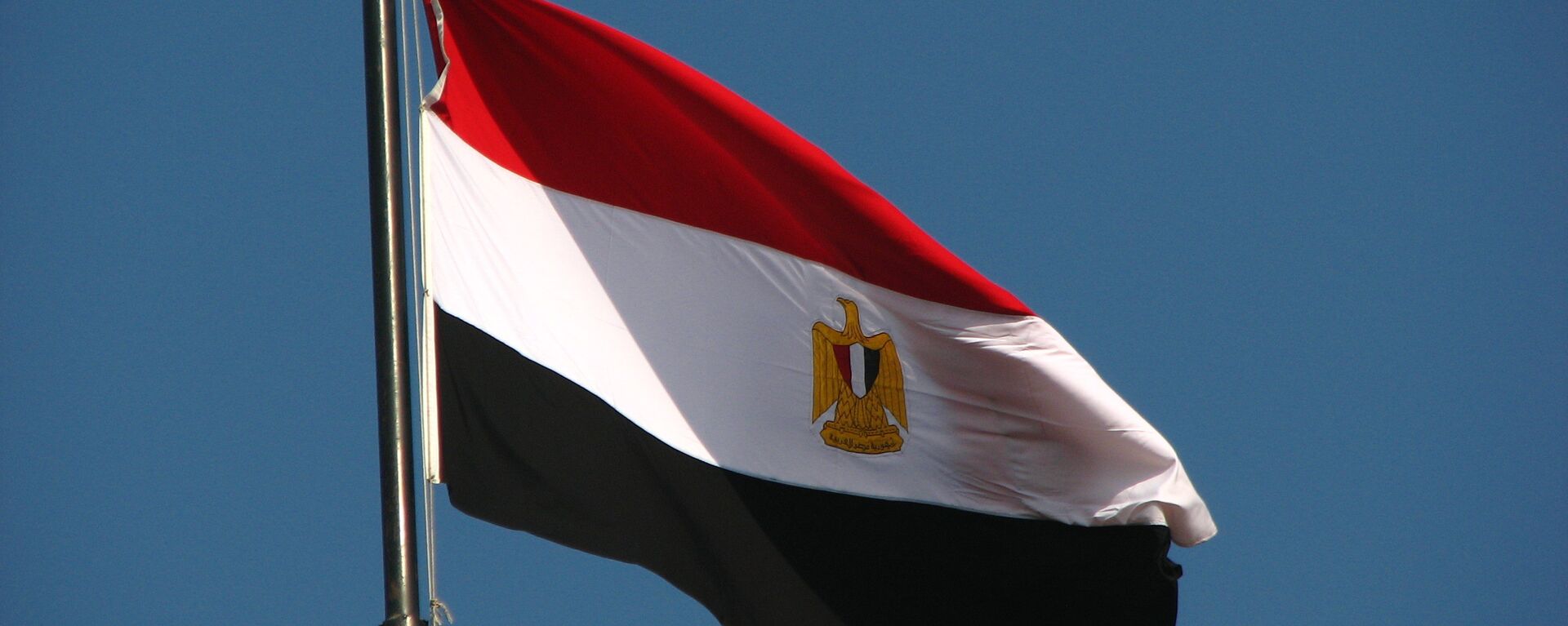 علم مصر - سبوتنيك عربي, 1920, 06.05.2024
