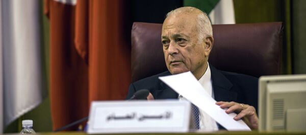 نبيل العربي - سبوتنيك عربي