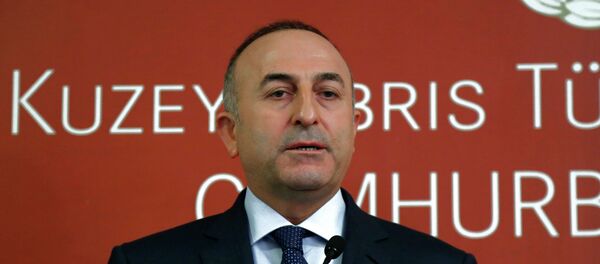 مولود جاويش أوغلو - سبوتنيك عربي