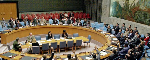 مجلس الأمن الدولي - سبوتنيك عربي