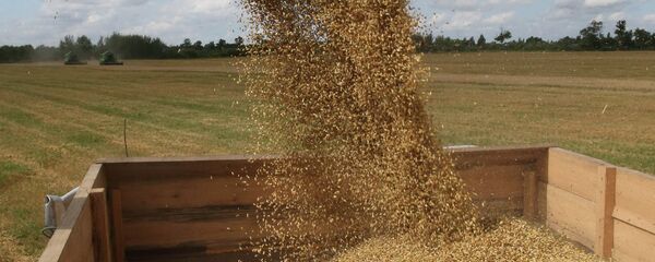 الزراعة الروسية - سبوتنيك عربي