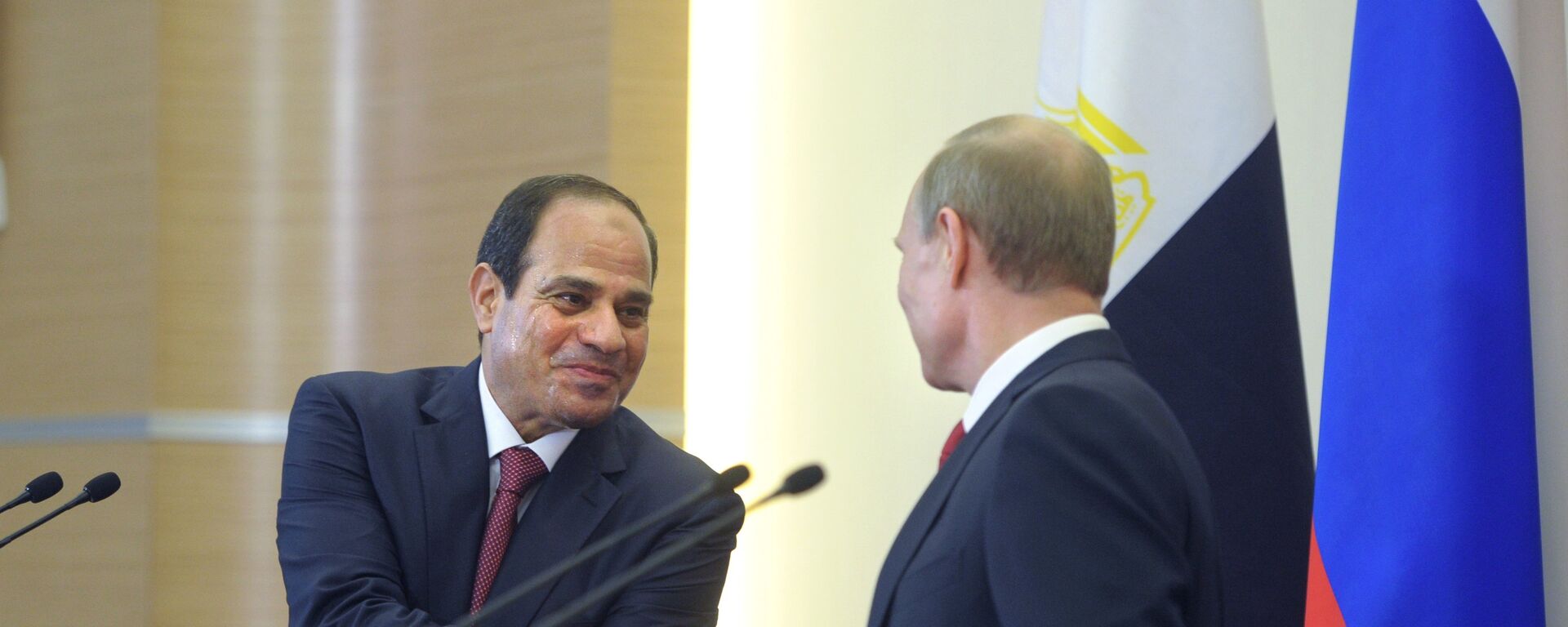 الرئيس فلاديمير بوتين وعبدالفتاح السيسي - سبوتنيك عربي, 1920, 05.01.2016