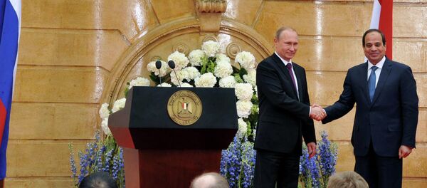 الرئيسان فلاديمير بوتين وعبد الفتاح السيسي - سبوتنيك عربي
