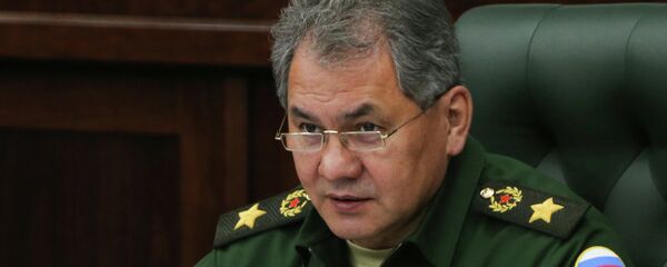 وزير الدفاع الروسي سيرغي شويغو وزير الدفاع الروسي سيرغي شويغو - سبوتنيك عربي