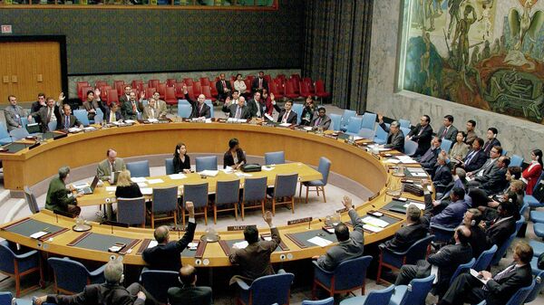مجلس الأمن الدولي - سبوتنيك عربي