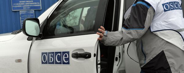 مراقبو منظمة الأمن والتعاون في أوروبا - سبوتنيك عربي