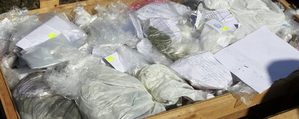 مخدرات - سبوتنيك عربي