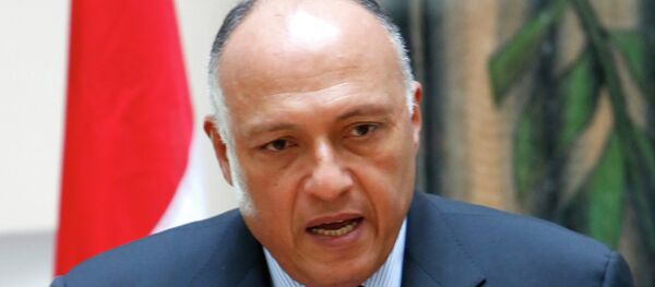 سامح شكري - سبوتنيك عربي