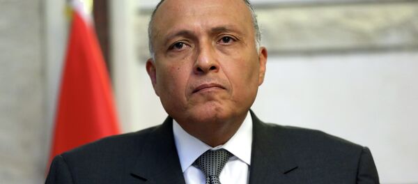 سامح شكري - سبوتنيك عربي