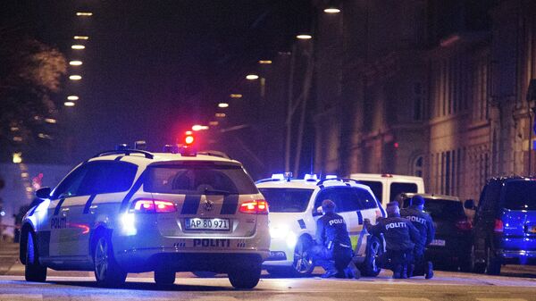 الشرطة الدانماركية - سبوتنيك عربي