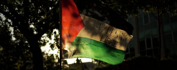 علم فلسطين - سبوتنيك عربي