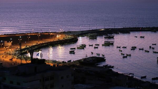 ميناء غزة - سبوتنيك عربي