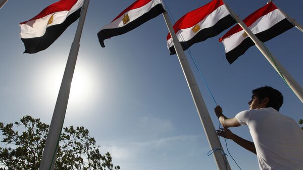العلم المصري - سبوتنيك عربي