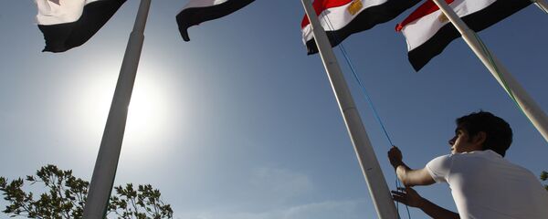 العلم المصري - سبوتنيك عربي