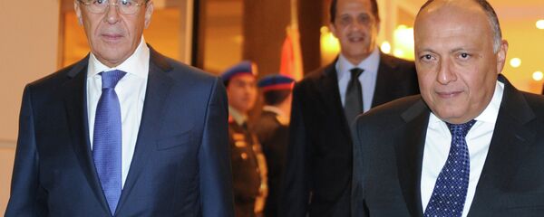 لافروف وشكري - سبوتنيك عربي