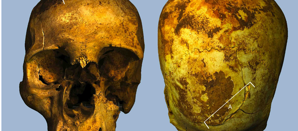 مؤسس الاسرة السادسة عشر  الملك سنب كاي - سبوتنيك عربي