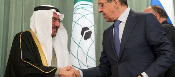 سيرغي لافروف وأياد مدني - سبوتنيك عربي