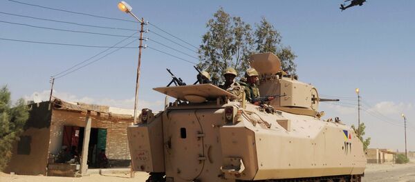 الجيش المصري في سيناء - سبوتنيك عربي