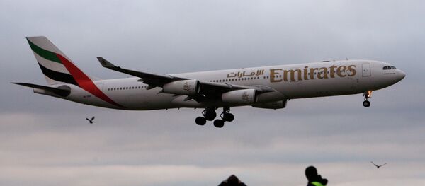 الخطوط الجوية الإماراتية - سبوتنيك عربي