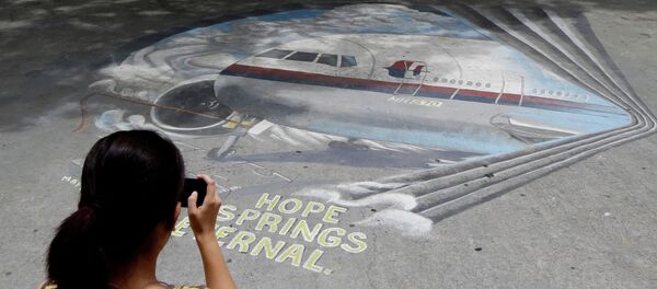 اختفاء الطائرة الماليزية اختفاء الطائرة الماليزية - سبوتنيك عربي