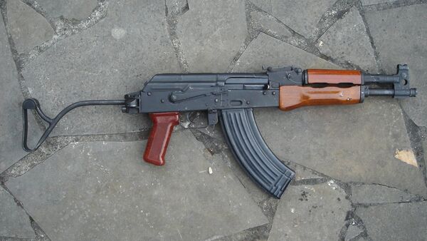 بندقية PM md. 63/65 - سبوتنيك عربي