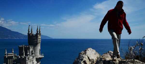 عش السنونو - سبوتنيك عربي