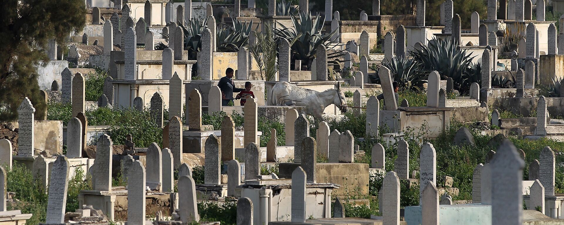 مقبرة غزة - سبوتنيك عربي, 1920, 18.10.2025