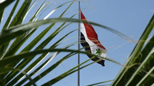 العلم السوري - سبوتنيك عربي