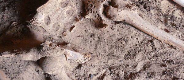 ألكشف عن أقدم إصابة بسرطان الثدي في مصر القديمة ألكشف عن أقدم إصابة بسرطان الثدي في مصر القديمة - سبوتنيك عربي