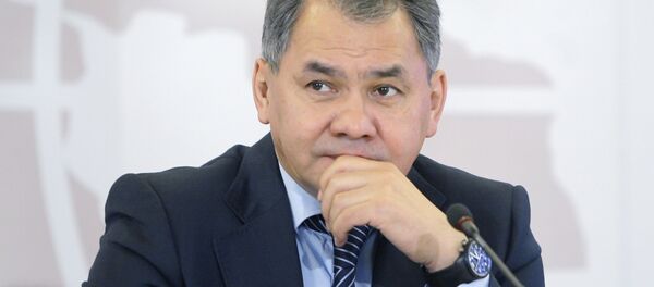 سيرغي شويغو - سبوتنيك عربي