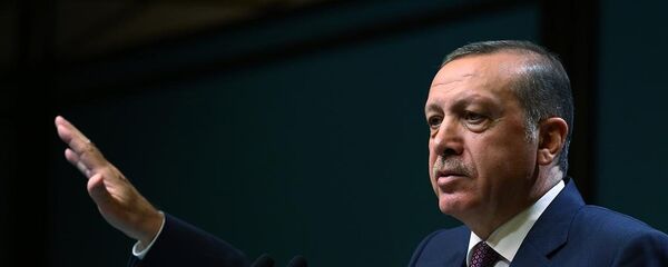 رجب طيب أردوغان رجب طيب أردوغان - سبوتنيك عربي