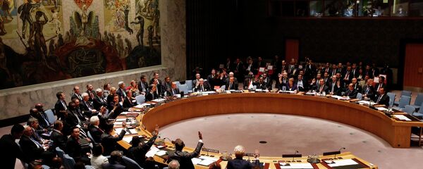 مجلس الأمن - سبوتنيك عربي