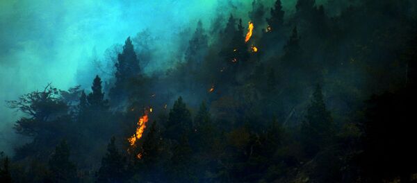 حرائق الغابات، شيلي حرائق الغابات، شيلي - سبوتنيك عربي