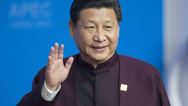 الرئيس الصيني سي جين بينغ - سبوتنيك عربي