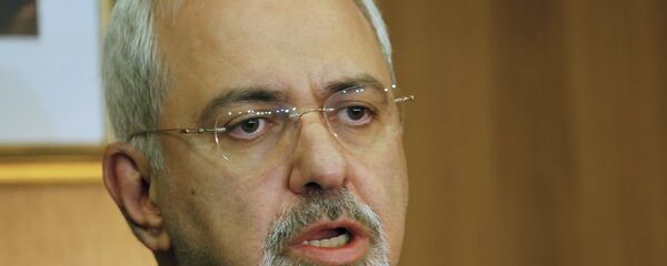 محمد جواد ظريف - سبوتنيك عربي