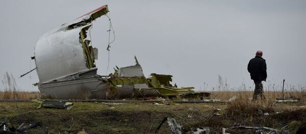 حطام طائرة البوينغ الماليزية في أوكرانيا حطام طائرة البوينغ الماليزية في أوكرانيا - سبوتنيك عربي