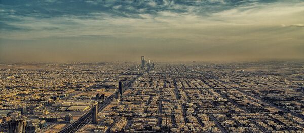 السعودية - سبوتنيك عربي