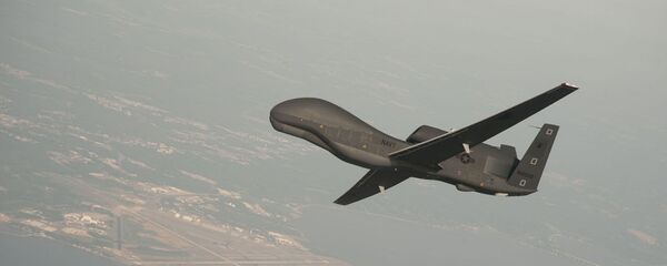 طائرة مسيرة أمريكية - سبوتنيك عربي