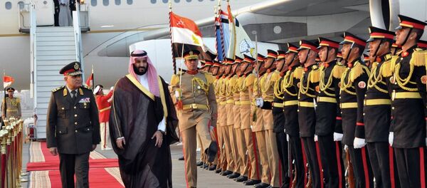 وزيري الدفاع المصري والسعودي وزيري الدفاع المصري والسعودي - سبوتنيك عربي