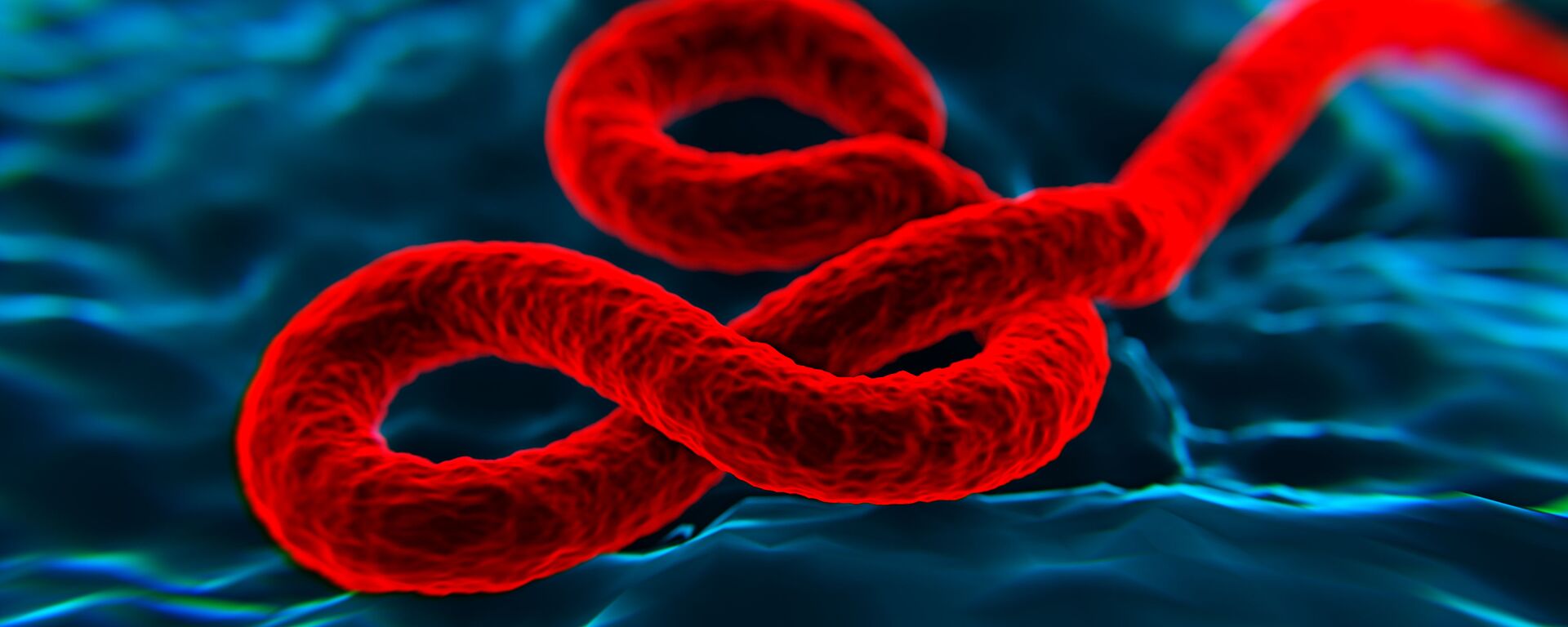 فيروس  إيبولا - سبوتنيك عربي, 1920, 04.11.2022