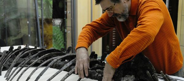 نظرية جديدة تكشف سببا مثيرا لانقراض الديناصورات - سبوتنيك عربي