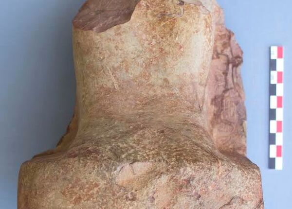 جزء من تمثال ساحو رع - سبوتنيك عربي