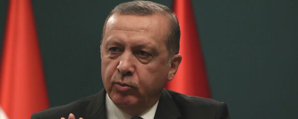 رجب طيب أردوغان رجب طيب أردوغان - سبوتنيك عربي