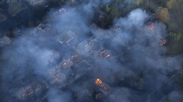حريق غابات أوكرانيا - سبوتنيك عربي