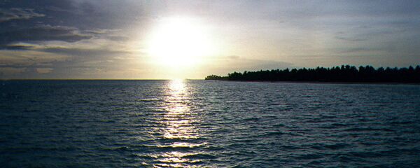 المحيط الهادئ - سبوتنيك عربي