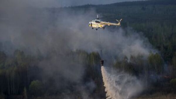 إخماد الحريق في غابات تشيرنوبيل - سبوتنيك عربي