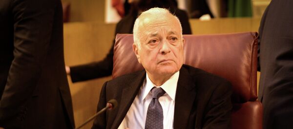 نبيل العربي نبيل العربي - سبوتنيك عربي