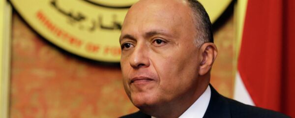 وزير الخارجية المصري سامح شكري - سبوتنيك عربي