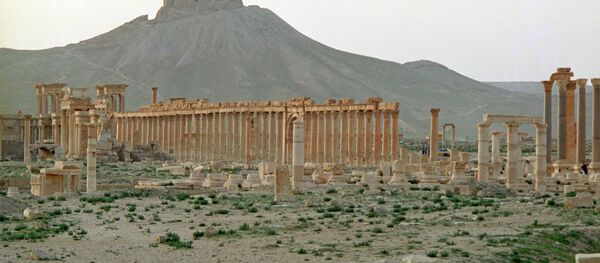 تدمر - سبوتنيك عربي