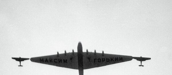 طائرة مكسيم غوركي - سبوتنيك عربي